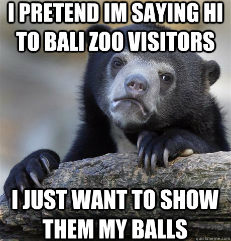 i pretend im saying hi to bali zoo visitors i just want to show them my balls  Confession Bear