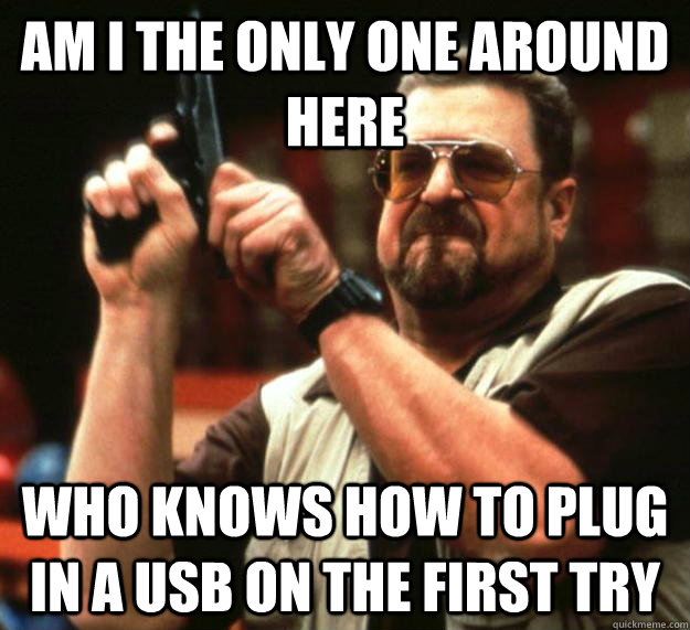 am I the only one around here who knows how to plug in a USB on the first try  Angry Walter