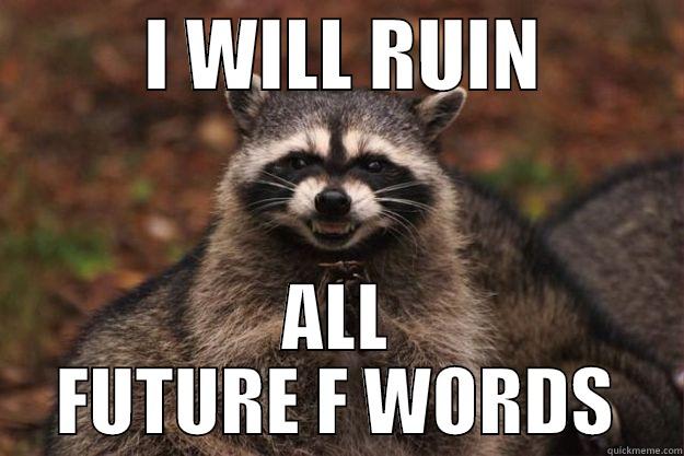 FUIF FUIF FUIF -          I WILL RUIN          ALL FUTURE F WORDS Evil Plotting Raccoon