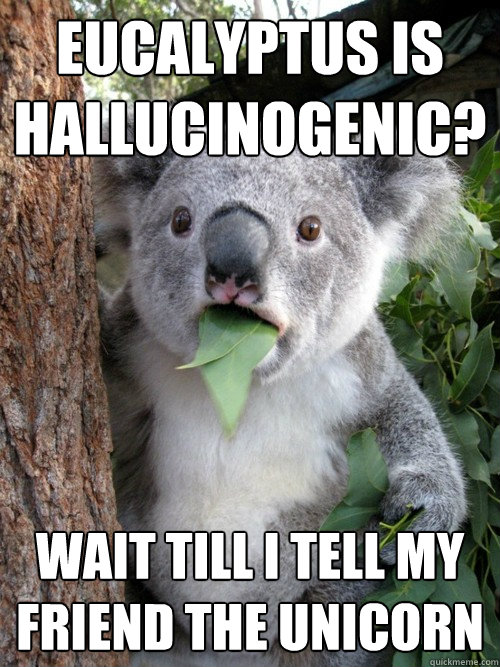 Eucalyptus is   hallucinogenic? wait till i tell my friend the unicorn  koala bear