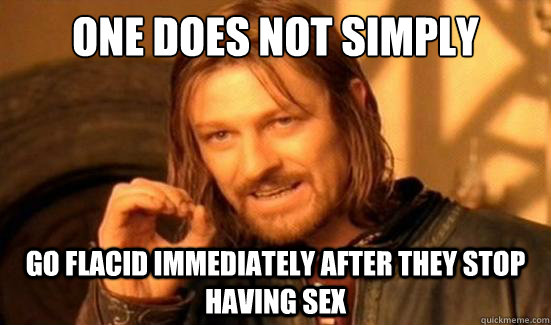 One Does Not Simply go flacid immediately after they stop having sex  Boromir