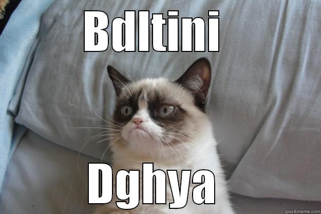 BDLTINI  DGHYA  Grumpy Cat