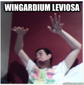 wingardium leviosa  - wingardium leviosa   Michael The Wizard