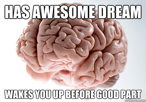 Has awesome dream wakes you up before good part  Scumbag Brain