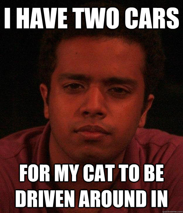 I have two cars for my cat to be driven around in - I have two cars for my cat to be driven around in  Baller Naveed