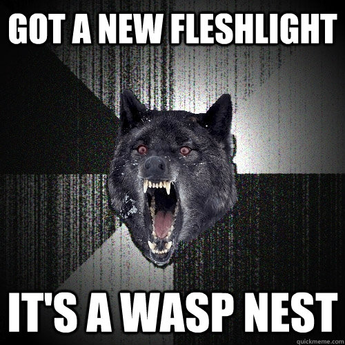 Got a new fleshlight It's a wasp nest  Insanity Wolf