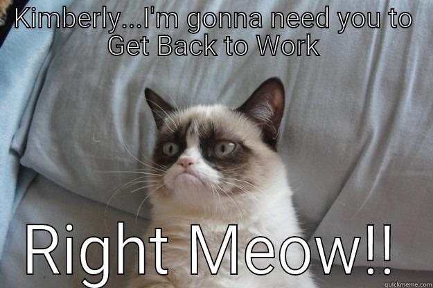 Grumpy  - KIMBERLY...I'M GONNA NEED YOU TO GET BACK TO WORK RIGHT MEOW!! Grumpy Cat