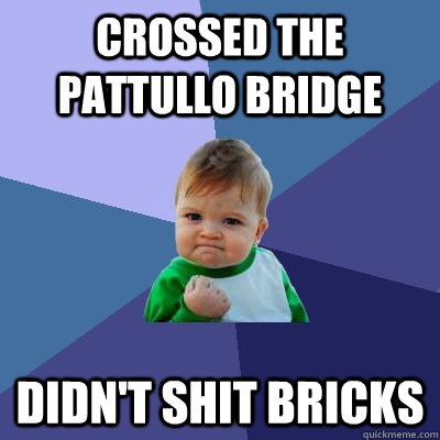 crossed the pattullo bridge didn't shit bricks  Success Kid