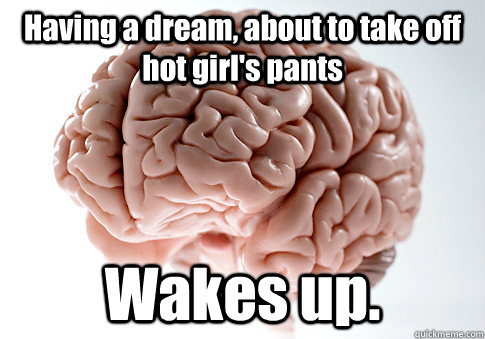 Having a dream, about to take off hot girl's pants Wakes up.   Scumbag Brain