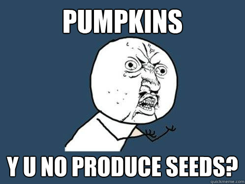 Pumpkins y u no produce seeds?  Y U No