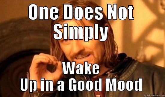 ONE DOES NOT SIMPLY WAKE UP IN A GOOD MOOD Boromir