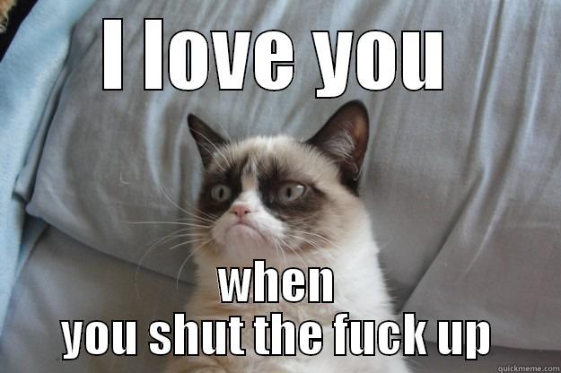 I LOVE YOU WHEN YOU SHUT THE FUCK UP Grumpy Cat