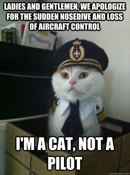 LADIES AND GENTLEMEN, WE APOLOGIZE FOR THE SUDDEN NOSEDIVE AND LOSS OF AIRCRAFT CONTROL I'm a cat, not a pilot - LADIES AND GENTLEMEN, WE APOLOGIZE FOR THE SUDDEN NOSEDIVE AND LOSS OF AIRCRAFT CONTROL I'm a cat, not a pilot  Captain kitteh