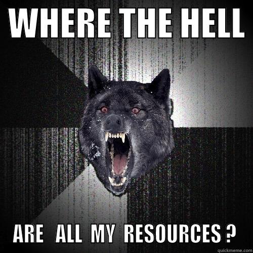 MY RESOURCES -  WHERE THE HELL  ARE   ALL  MY  RESOURCES ? Insanity Wolf