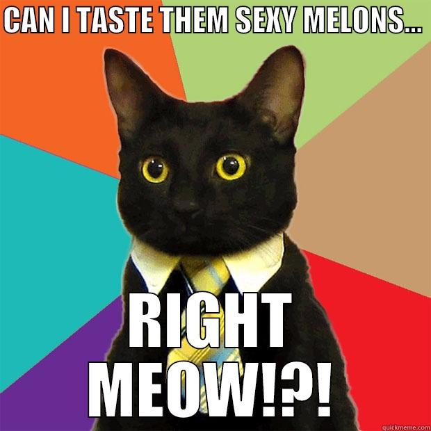 CAN I TASTE THEM SEXY MELONS...  RIGHT MEOW!?! Business Cat