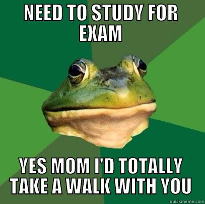 NEED TO STUDY FOR EXAM YES MOM I'D TOTALLY TAKE A WALK WITH YOU Foul Bachelor Frog