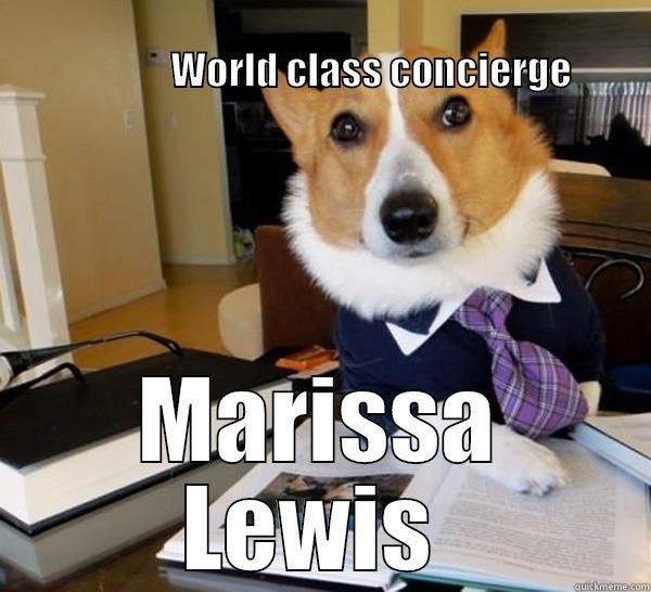 In the zone! -                                                                                                   WORLD CLASS CONCIERGE MARISSA LEWIS  Lawyer Dog