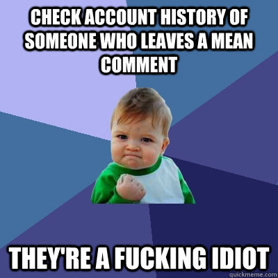 CHECK ACCOUNT HISTORY OF SOMEONE WHO LEAVES A MEAN COMMENT THEY'RE A FUCKING IDIOT  Success Kid