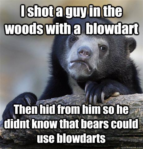 I shot a guy in the woods with a  blowdart Then hid from him so he didnt know that bears could use blowdarts - I shot a guy in the woods with a  blowdart Then hid from him so he didnt know that bears could use blowdarts  Confession Bear