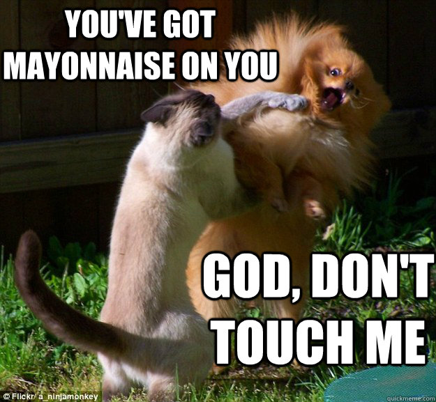 You've Got mayonnaise on you god, don't touch me  Disbelieving Pomeranian