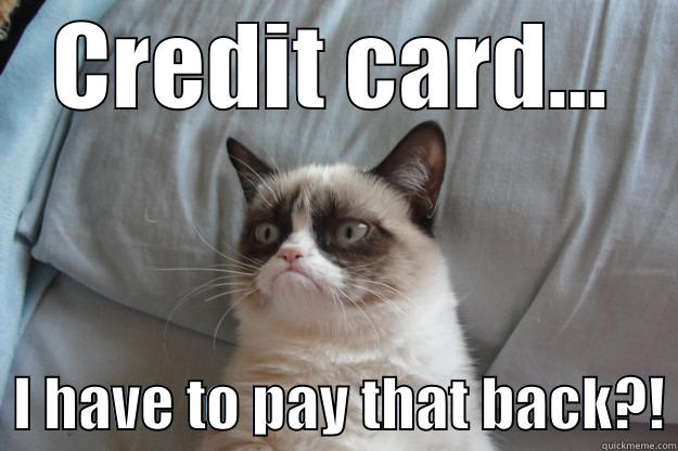 pay back credit card - CREDIT CARD...   I HAVE TO PAY THAT BACK?! Grumpy Cat