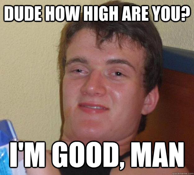 dude how high are you? i'm good, man - dude how high are you? i'm good, man  10 Guy