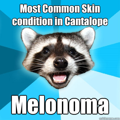 Most Common Skin condition in Cantalope Melonoma  Lame Pun Coon