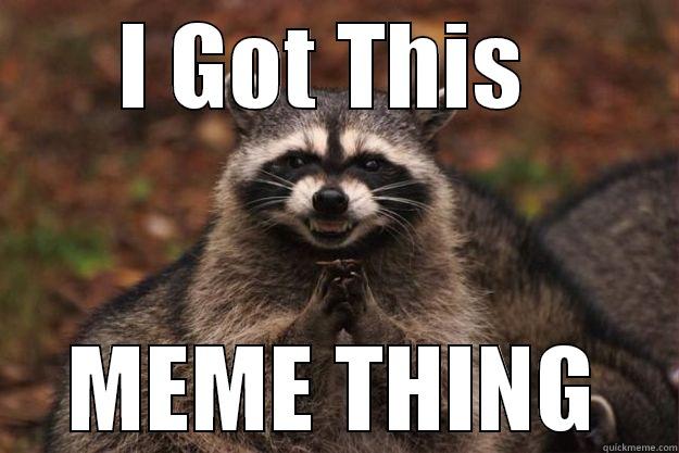 I Think I Got It. - I GOT THIS  MEME THING Evil Plotting Raccoon