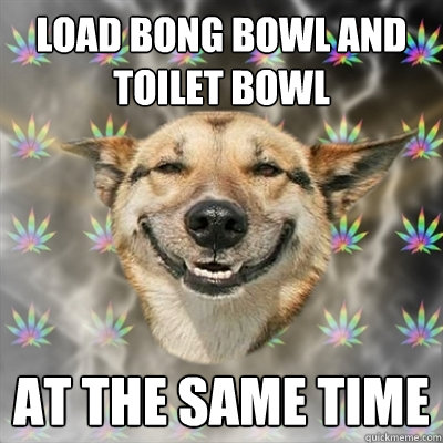 load bong bowl and toilet bowl at the same time  Stoner Dog