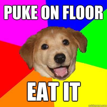 Puke on floor Eat it  Advice Dog