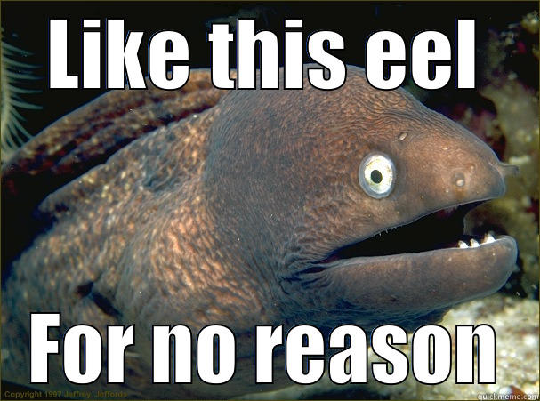 LIKE THIS EEL FOR NO REASON Bad Joke Eel