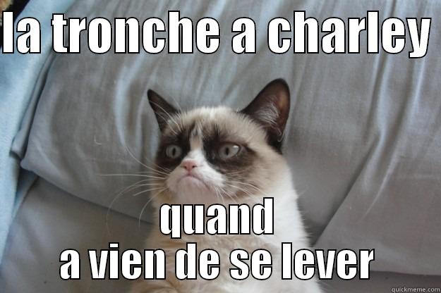 LA TRONCHE A CHARLEY  QUAND A VIEN DE SE LEVER Grumpy Cat