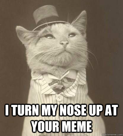  I turn my nose up at your meme -  I turn my nose up at your meme  Aristocat