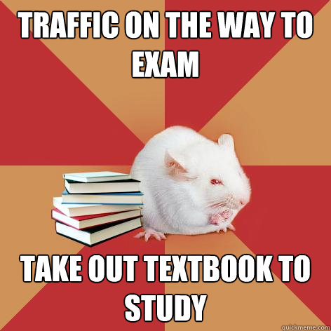 traffic on the way to exam take out textbook to study  Science Major Mouse