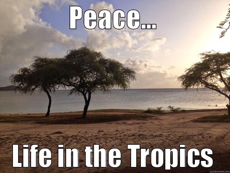 PEACE... LIFE IN THE TROPICS Misc