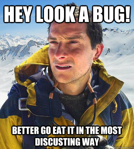 hey look a bug! better go eat it in the most discusting way - hey look a bug! better go eat it in the most discusting way  Bear Grylls