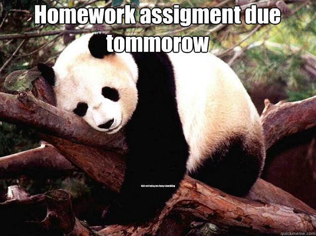 Homework assigment due tommorow Nah not today,too busy stumbling















  Procrastination Panda