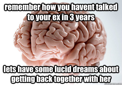 remember how you havent talked to your ex in 3 years lets have some lucid dreams about getting back together with her  Scumbag Brain