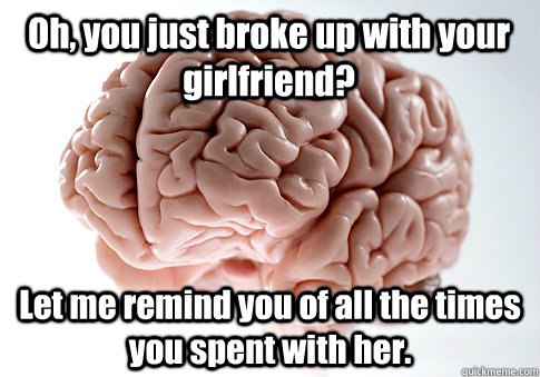 Oh, you just broke up with your girlfriend? Let me remind you of all the times you spent with her. - Oh, you just broke up with your girlfriend? Let me remind you of all the times you spent with her.  Scumbag Brain