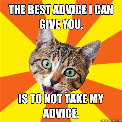 The best advice i can give you, is to not take my advice. - The best advice i can give you, is to not take my advice.  Bad Advice Cat