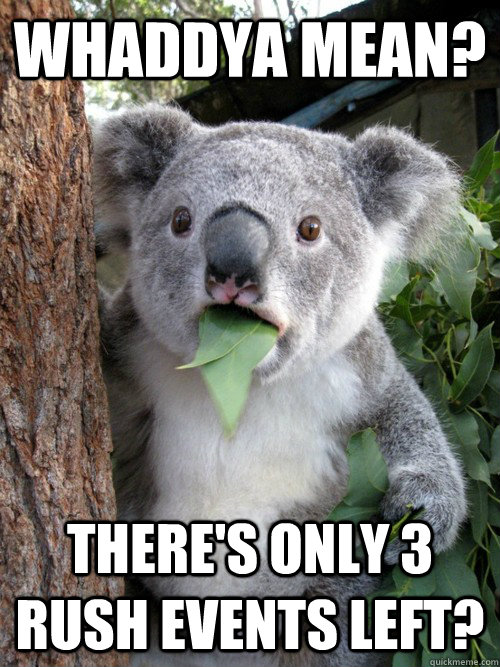 Whaddya mean? there's only 3 rush events left? - Whaddya mean? there's only 3 rush events left?  koala bear