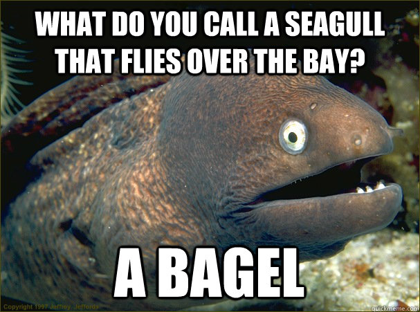 What do you call a seagull that flies over the bay? A Bagel  Bad Joke Eel