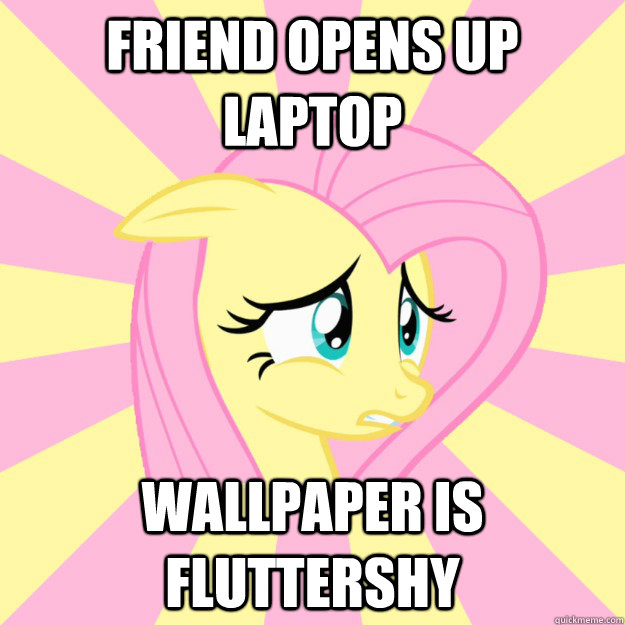 friend opens up laptop Wallpaper is Fluttershy - friend opens up laptop Wallpaper is Fluttershy  Socially awkward brony