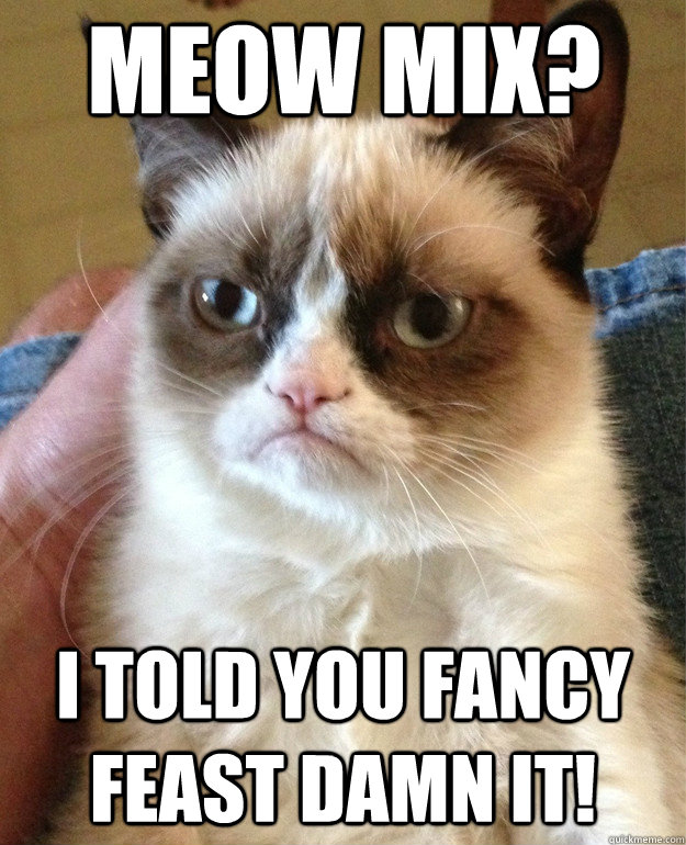 Meow mix? I told you fancy feast damn it! - Meow mix? I told you fancy feast damn it!  Grumpy Cat