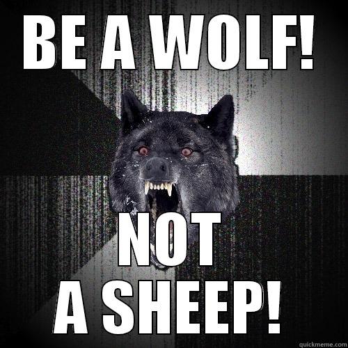 I EAT SHEEPLE! - BE A WOLF! NOT A SHEEP! Insanity Wolf