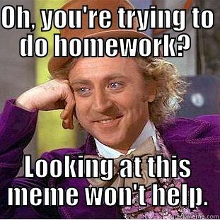 OH, YOU'RE TRYING TO DO HOMEWORK?  LOOKING AT THIS MEME WON'T HELP. Condescending Wonka