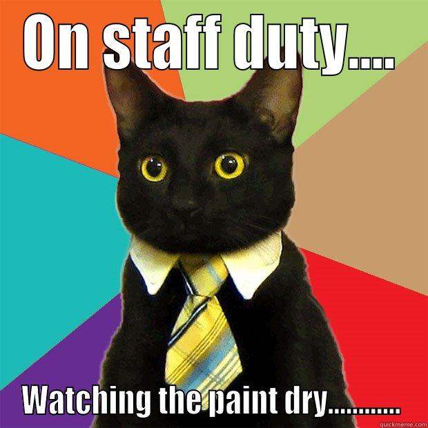 ON STAFF DUTY.... WATCHING THE PAINT DRY............ Business Cat