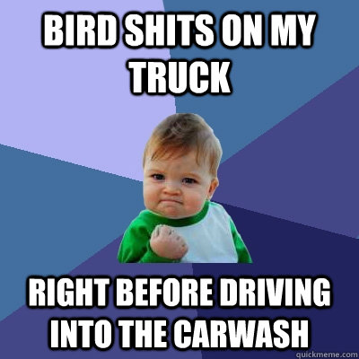 Bird Shits on my truck Right BEFORE driving into the carwash  Success Kid