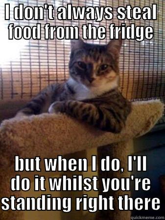 I DON'T ALWAYS STEAL FOOD FROM THE FRIDGE BUT WHEN I DO, I'LL DO IT WHILST YOU'RE STANDING RIGHT THERE The Most Interesting Cat in the World