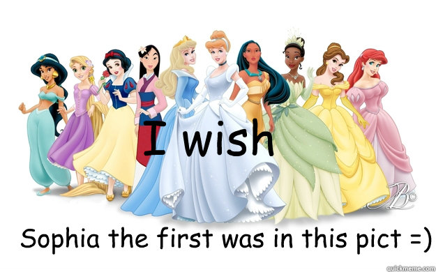 I wish Sophia the first was in this pict =)  disney princesses